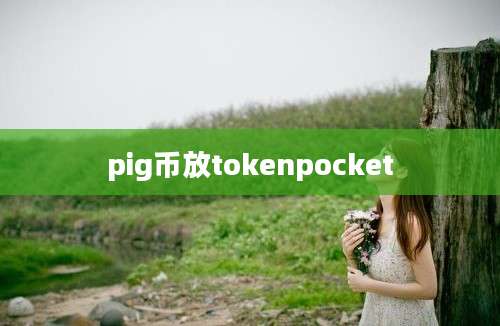pig币放tokenpocket