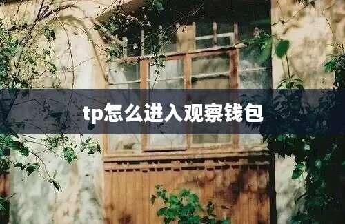 tp怎么进入观察钱包