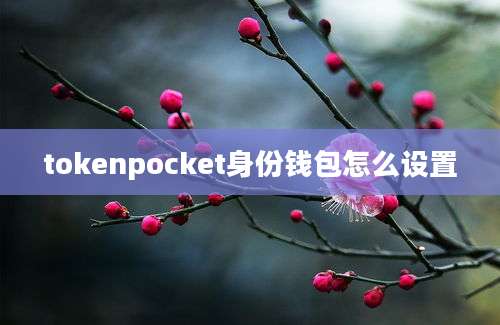 tokenpocket身份钱包怎么设置