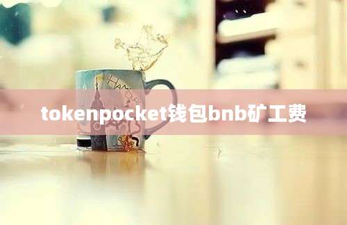 tokenpocket钱包bnb矿工费