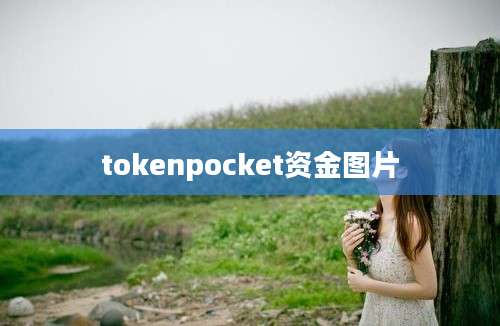 tokenpocket资金图片