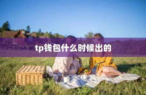 tp钱包什么时候出的