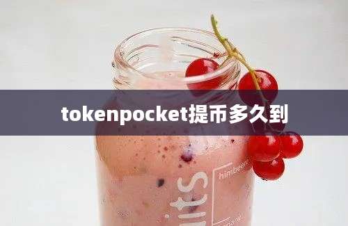 tokenpocket提币多久到