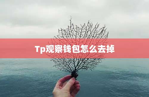 Tp观察钱包怎么去掉