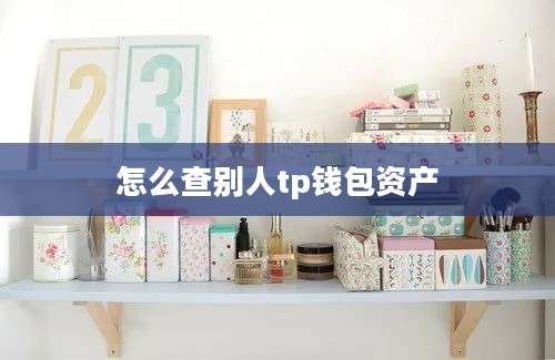 怎么查别人tp钱包资产