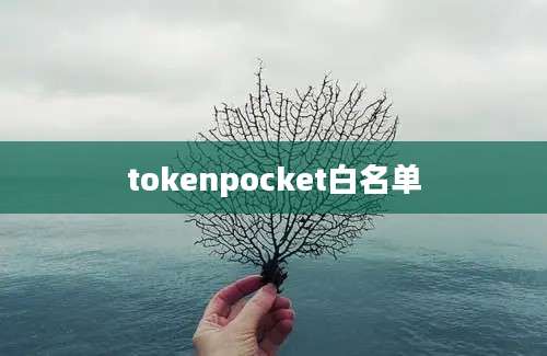 tokenpocket白名单