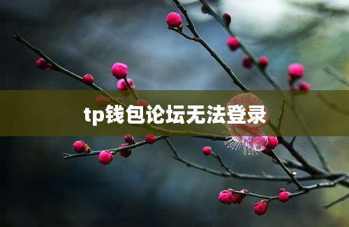 tp钱包论坛无法登录