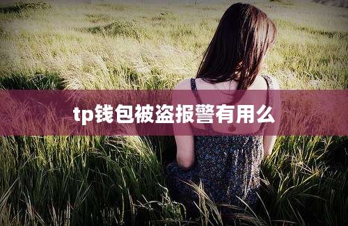 tp钱包被盗报警有用么