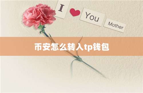 币安怎么转入tp钱包