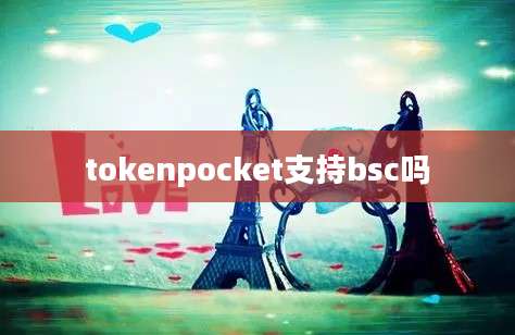tokenpocket支持bsc吗