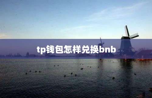 tp钱包怎样兑换bnb