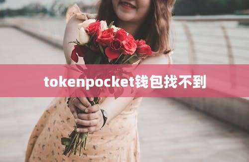 tokenpocket钱包找不到
