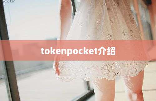 tokenpocket介绍