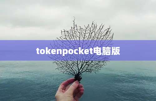 tokenpocket电脑版