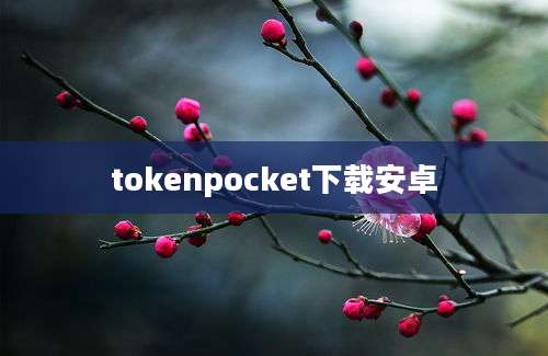 tokenpocket下载安卓