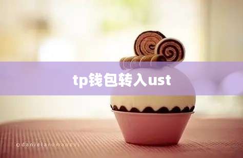 tp钱包转入ust