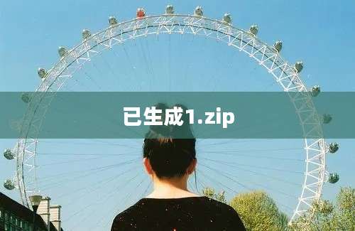 已生成1.zip