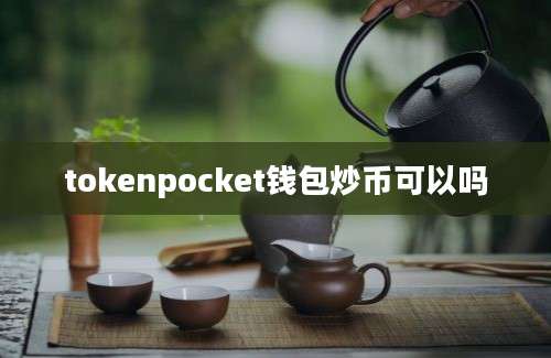 tokenpocket钱包炒币可以吗