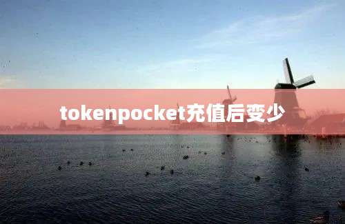 tokenpocket充值后变少