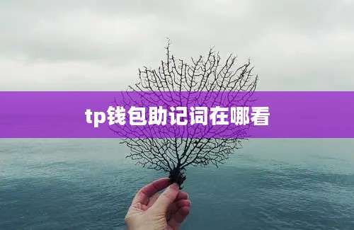 tp钱包助记词在哪看