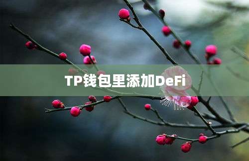 TP钱包里添加DeFi