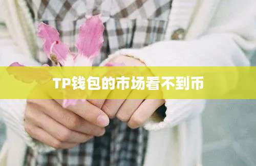 TP钱包的市场看不到币