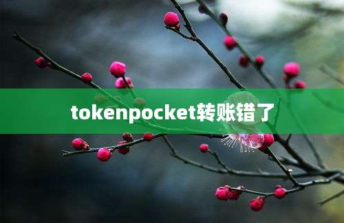 tokenpocket转账错了