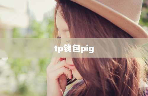 tp钱包pig