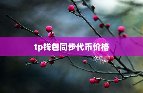 tp钱包同步代币价格