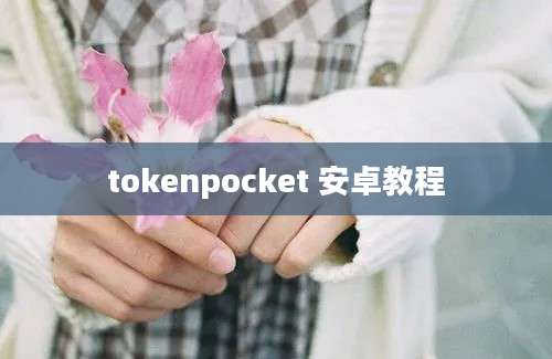 tokenpocket 安卓教程