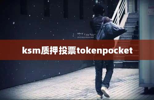 ksm质押投票tokenpocket