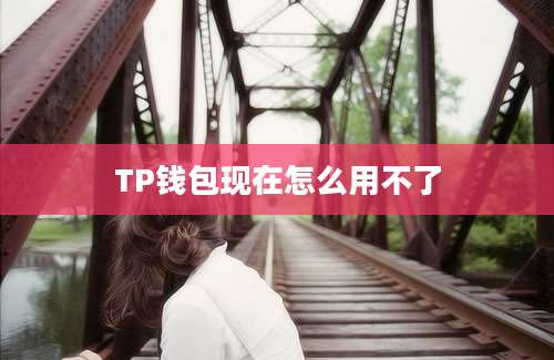 TP钱包现在怎么用不了