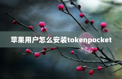 苹果用户怎么安装tokenpocket