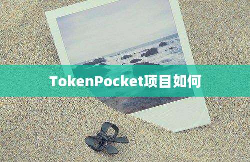 TokenPocket项目如何