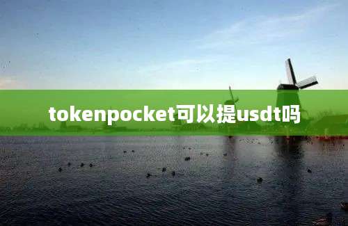 tokenpocket可以提usdt吗