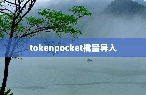 tokenpocket批量导入