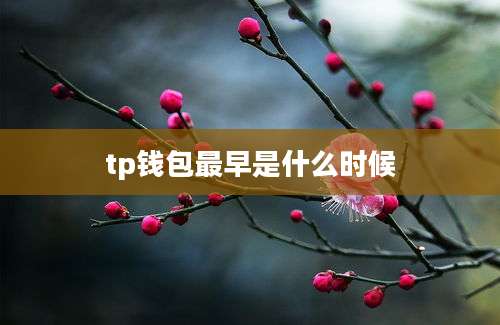 tp钱包最早是什么时候