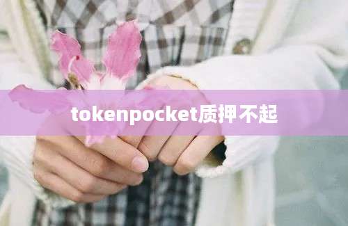 tokenpocket质押不起