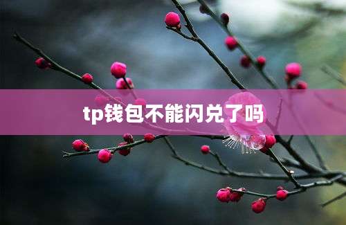 tp钱包不能闪兑了吗