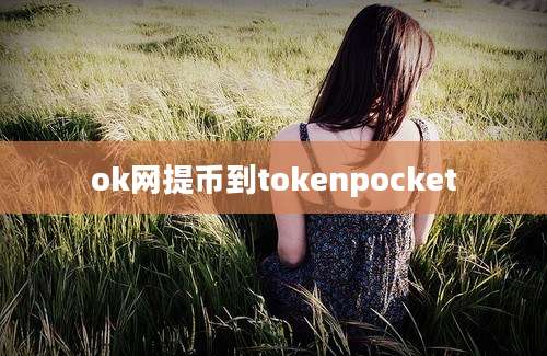 ok网提币到tokenpocket