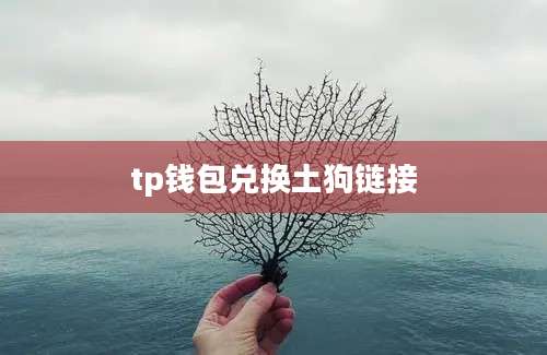 tp钱包兑换土狗链接