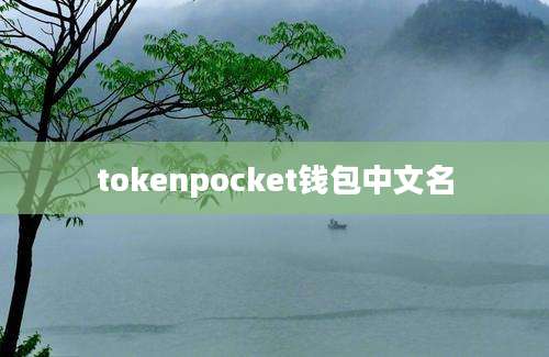 tokenpocket钱包中文名