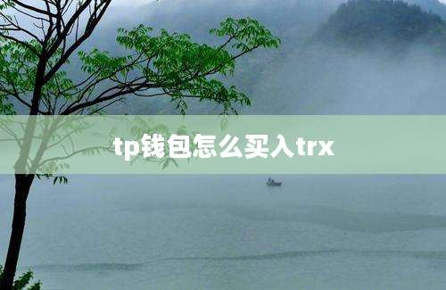 tp钱包怎么买入trx