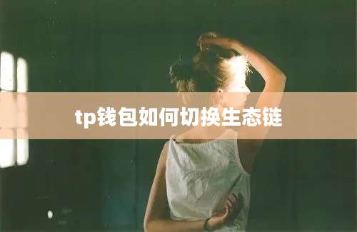 tp钱包如何切换生态链