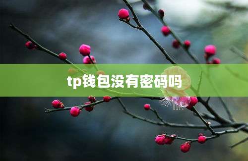 tp钱包没有密码吗