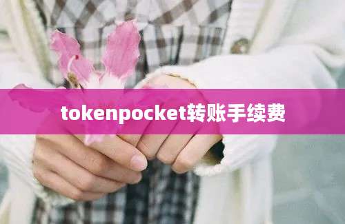 tokenpocket转账手续费