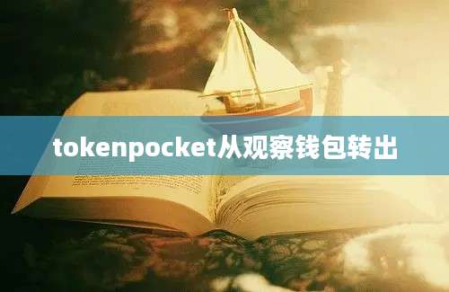 tokenpocket从观察钱包转出