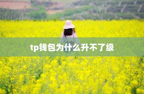 tp钱包为什么升不了级