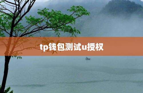 tp钱包测试u授权