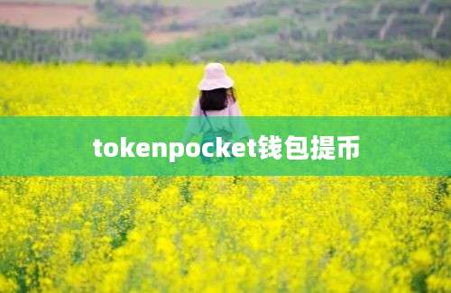 tokenpocket钱包提币